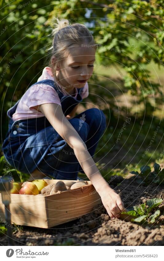 Mädchen bei der Ernte im Schrebergarten Gartenarbeit Gartenbau Muße harmonisch Lifestyles Essen Essen und Trinken Food Lebensmittel Nahrungsmittel Kartoffeln