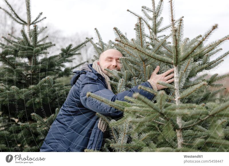 Lächelnder Mann umarmt Weihnachtsbaum auf einer Plantage Männer männlich Plantagen Christbaum Weihnachtsbäume Weihnachtsbaeume Christbäume Christbaeume umarmen