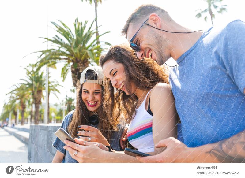 Glückliche Freunde teilen sich ein Handy auf einer Promenade mit Palmen Teilen Sharing glücklich glücklich sein glücklichsein Promenaden Mobiltelefon Handies