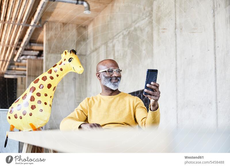 Lächelnde reifen Geschäftsmann sitzt am Schreibtisch im Büro mit Handy und Giraffe Figur Figuren sitzen sitzend lächeln Mobiltelefon Handies Handys