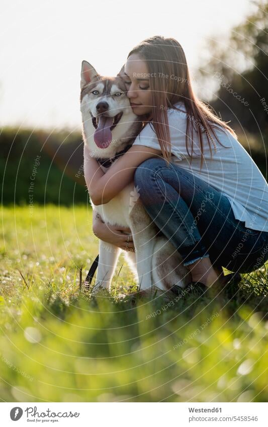 Junge Frau umarmt ihren Hund auf einer Wiese Tiere Tierwelt Haustiere Hunde T-Shirts Arm umlegen Umarmung Umarmungen abends Jahreszeiten sommerlich Sommerzeit