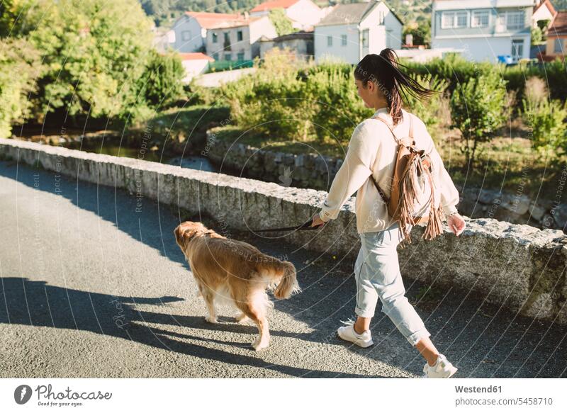 Frau spaziert mit ihrem Golden Retriever Hund auf einer Straße weiblich Frauen Strassen Straßen gehen gehend geht Hunde Erwachsener erwachsen Mensch Menschen