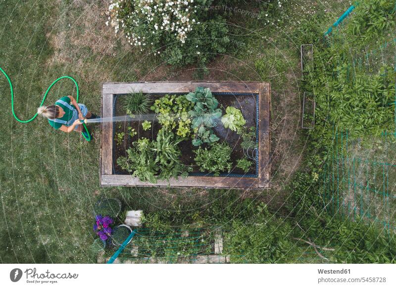 Drohnenschuss einer Frau, die Pflanzen gießt, die im Hochbeet wachsen Farbaufnahme Farbe Farbfoto Farbphoto Österreich Freizeitkleidung Freizeitbekleidung