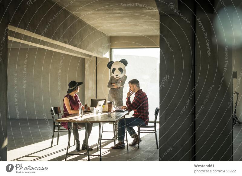 Frau mit Panda-Maske beobachtet Kollegen im Büro Ailuropoda Pandas Pandabär Pandabären Pandabaeren beobachten zuschauen ansehen Office Büros