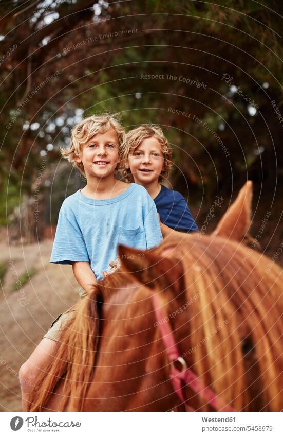 Porträt von zwei glücklichen Jungen auf einem Pferd in einem Wald Equus caballus Pferde reiten Forst Wälder Portrait Porträts Portraits Bruder Brüder Buben