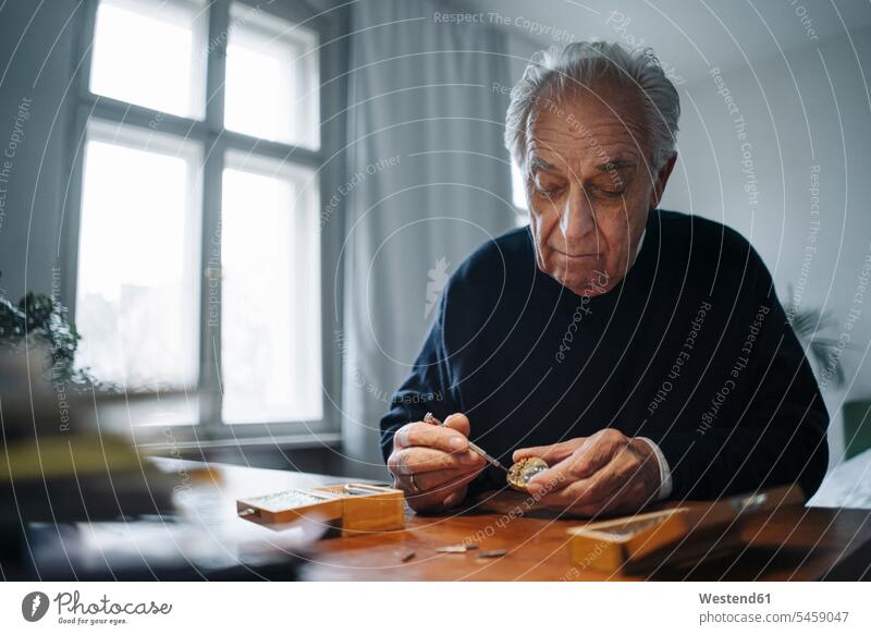 Älterer Mann repariert zu Hause eine Uhr Uhren Tische Uhrwerke Geräte Werkzeuge Reparatur sitzend sitzt daheim erfahren Erfahrungen konzentrieren konzentriert