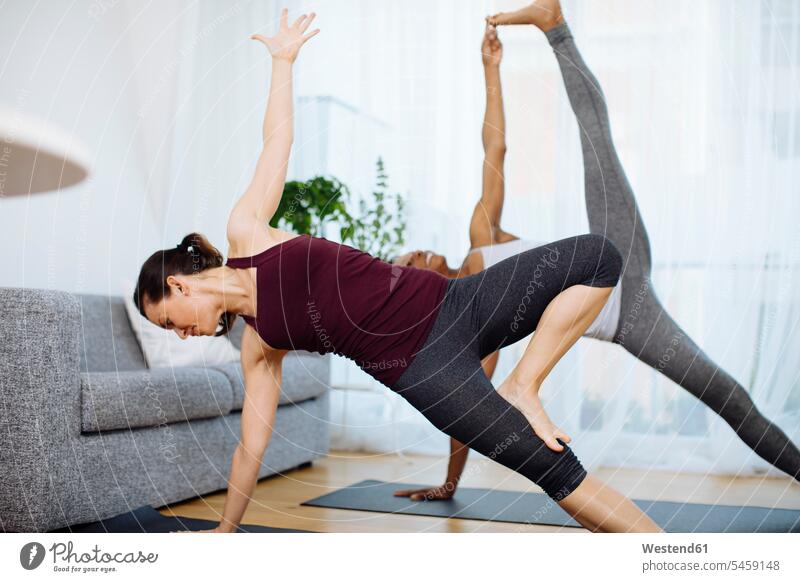 Zwei Frauen, die zu Hause Yoga praktizieren Freunde Kameradschaft Freundin Gardine Gardinen Vorhänge Couch Couches Liege Sofas ausüben trainieren Übung daheim