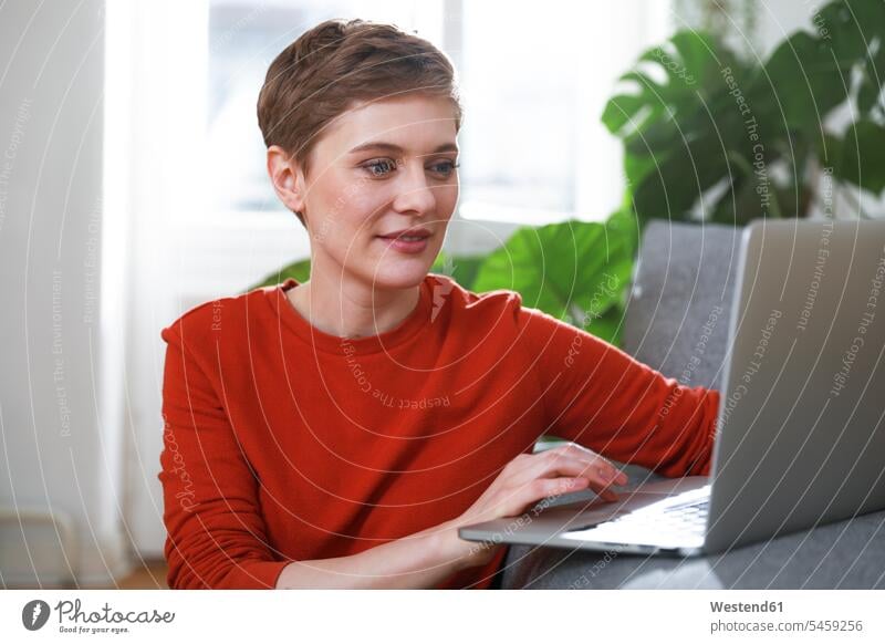 Zu Hause sitzende Frau, die einen Laptop benutzt weiblich Frauen Laptop benutzen Laptop benützen sitzt Notebook Laptops Notebooks Zuhause zu Hause daheim