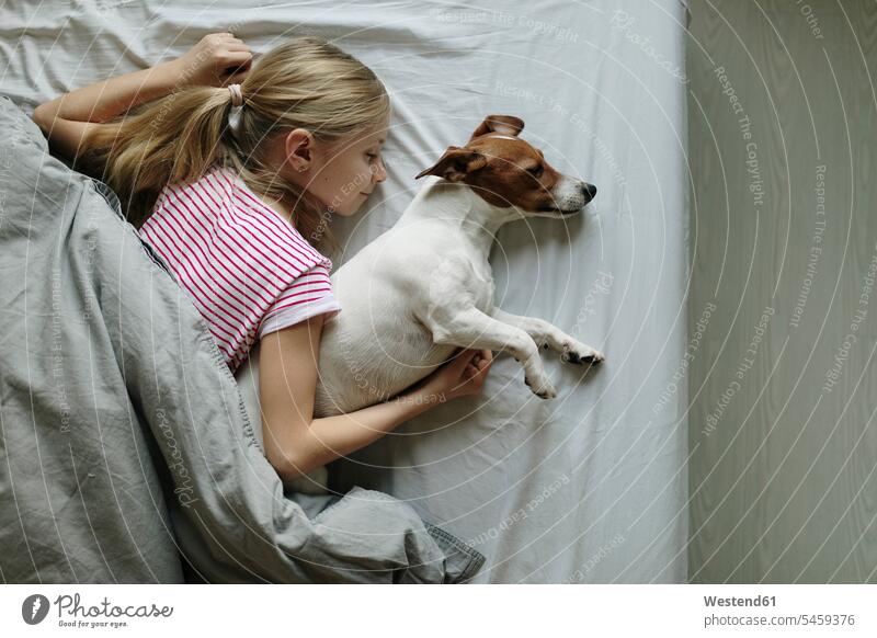 Blondes Mädchen auf dem Bett liegend mit ihrem Hund schlafend, Ansicht von oben Hunde Betten weiblich blond blonde Haare blondes Haar liegt Haustier Haustiere