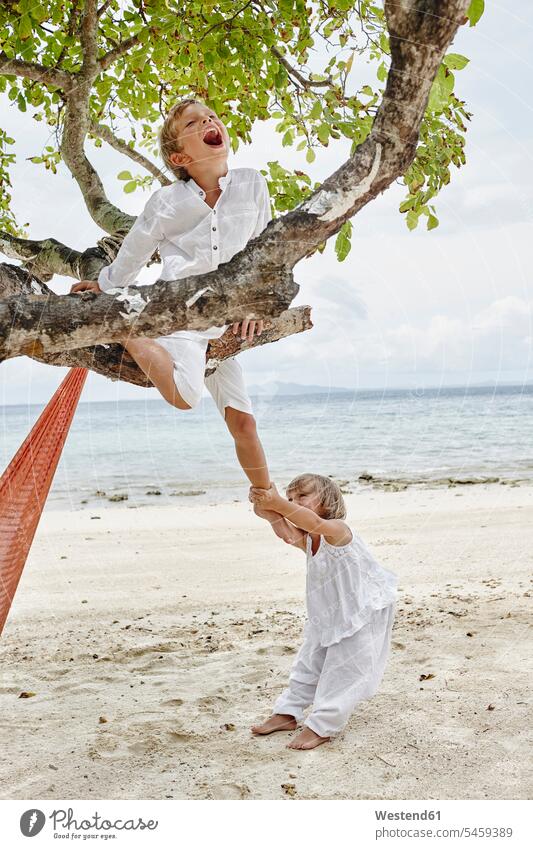 Thailand, Phi Phi-Inseln, Ko Phi Phi Phi, verspielter Junge und kleines Mädchen klettern am Strand auf einen Baum Bäume Baeume steigen Beach Straende Strände