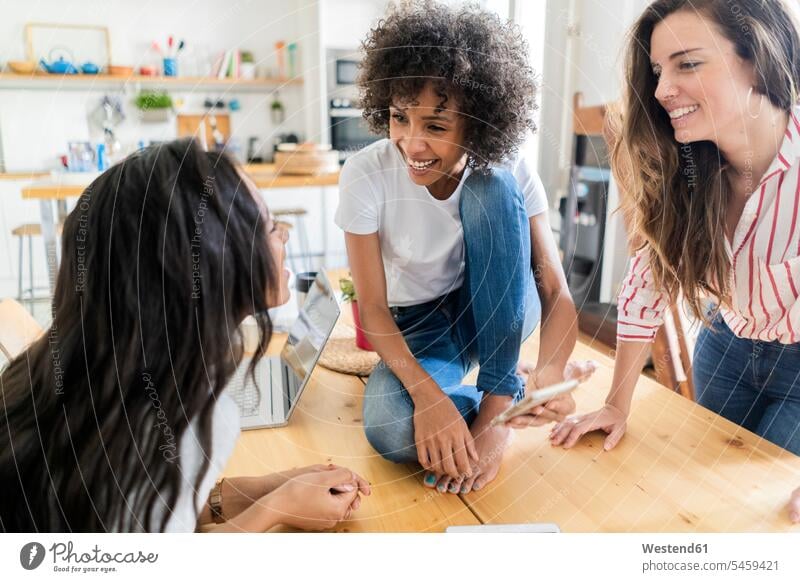 Drei glückliche Frauen sprechen am Tisch zu Hause weiblich Tische lächeln Freundinnen reden Erwachsener erwachsen Mensch Menschen Leute People Personen Freunde