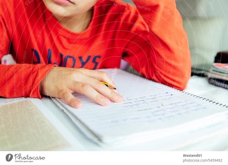 Junge lernt aus einem Buch, während er zu Hause sitzt Farbaufnahme Farbe Farbfoto Farbphoto Innenausstattung Wohnraum Wohnungseinrichtung Wohnungsansicht
