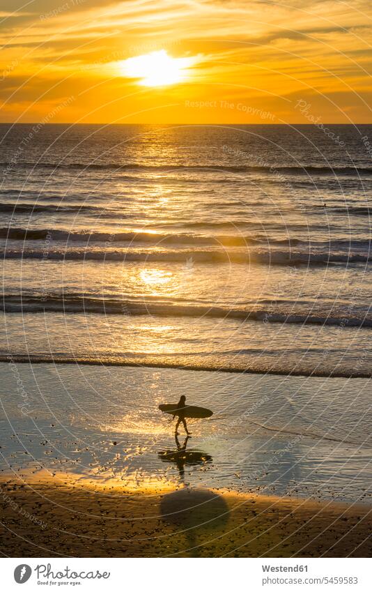 USA, Kalifornien, Del Mar, weibliche Surferin am Strand bei Sonnenuntergang tragen transportieren gehen gehend geht Wellenreiterinnen Surferinnen Beach Straende