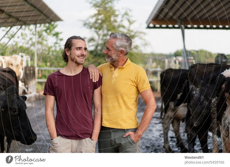 Lächelnder reifer Landwirt mit erwachsenem Sohn im Kuhstall auf einem Bauernhof Job Berufe Berufstätigkeit Beschäftigung Jobs Landwirte Tiere Tierwelt Mammalia