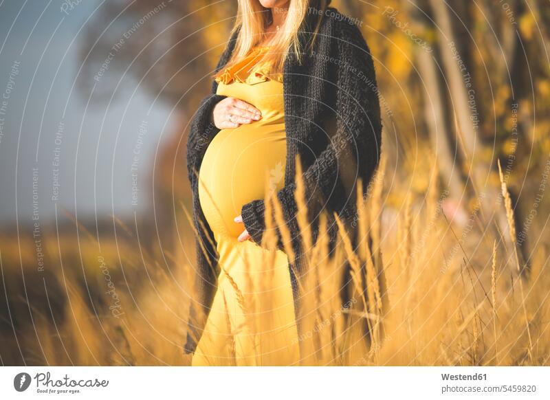 Nahaufnahme einer schwangeren Frau in der Natur im Herbst stehend weiblich Frauen Schwangere schwangere Frau steht Erwachsener erwachsen Mensch Menschen Leute