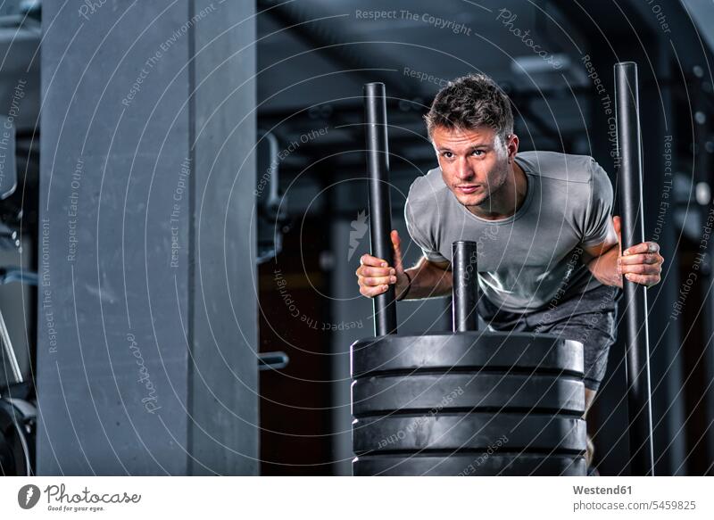 Athletischer junger Mann trainiert mit Gewichtsschlitten im Fitnessstudio Fitnessclubs Fitnessstudios Turnhalle Männer männlich sportlich Übung Uebung Übungen
