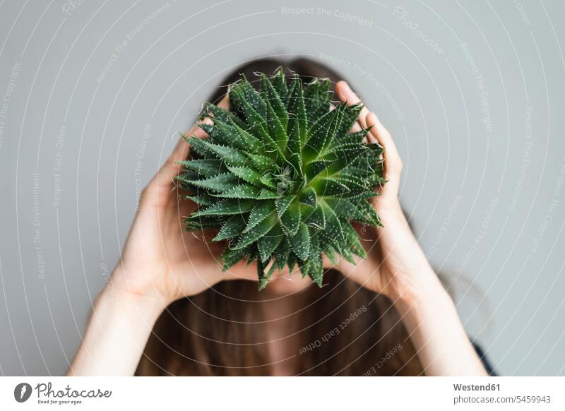 Frau hält Pflanze vor ihr Gesicht halten Gesichter Pflanzenwelt Flora weiblich Frauen Kopf Köpfe Mensch Menschen Leute People Personen Erwachsener erwachsen