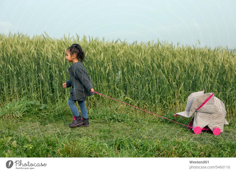 Kleines Mädchen zieht Origami-Elefanten auf Rollen auf dem Feld ziehen Spielzeug Felder gehen gehend geht glücklich Glück glücklich sein glücklichsein