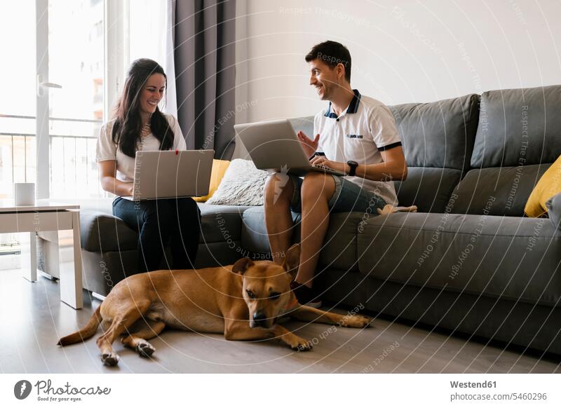 Paar, das zu Hause im Wohnzimmer in der Nähe des Hundes an Laptops arbeitet Farbaufnahme Farbe Farbfoto Farbphoto Innenaufnahme Innenaufnahmen innen drinnen Tag
