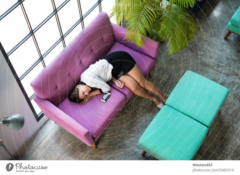 Draufsicht auf müde Geschäftsfrau schlafen auf violetten Couch im Büro Office Büros Geschäftsfrauen Businesswomen Businessfrauen Businesswoman schlafend