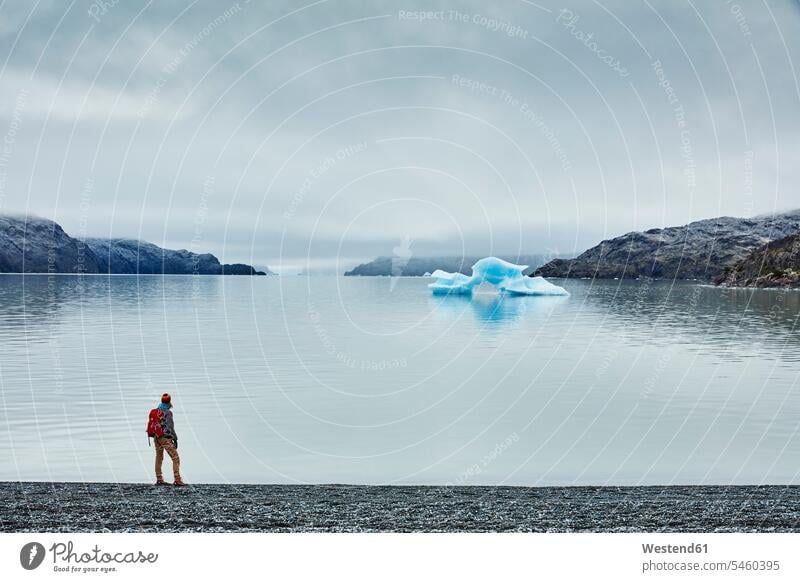 Chile, Torres del Paine Nationalpark, Lago Grey, Frau steht am Ufer und schaut auf Eisberg Eisberge See Seen schauen sehend Seeufer weiblich Frauen Ice Gewässer