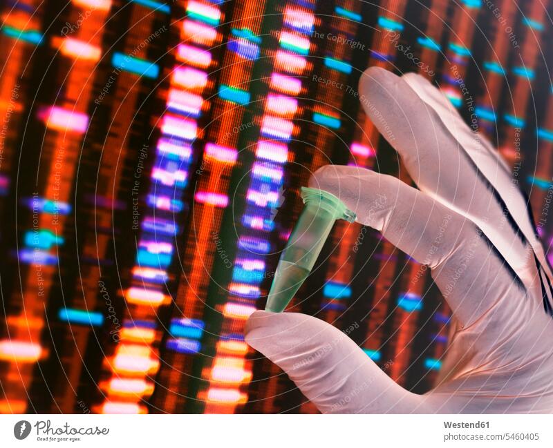 Wissenschaftler hält eine DNA-Probe mit den Ergebnissen auf einem Computer in einem Labor Desoxyribonukleinsaeure DNS Desoxyribonukleinsäure