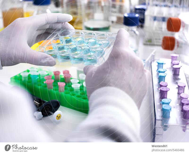 Biotechnology Research, Wissenschaftlerin betrachtet Proben in einer Multiwell-Platte während eines Experiments im Labor experimentieren Test Tests Labore