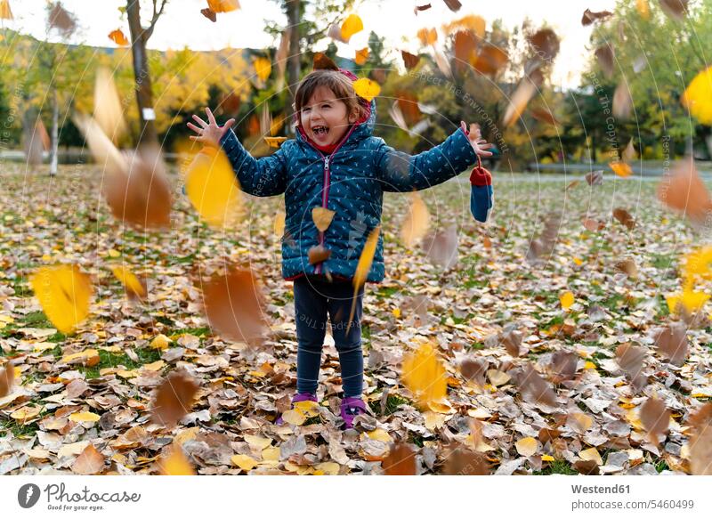 Kleines Mädchen spielt mit Herbstblättern im Freien Jacken begeistert Enthusiasmus enthusiastisch Überschwang Überschwenglichkeit freuen Frohsinn Fröhlichkeit