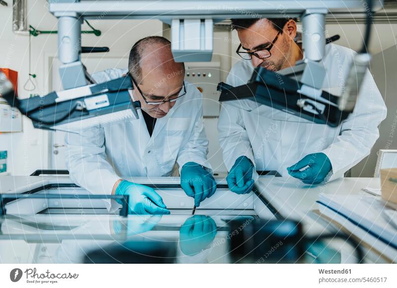 Männliche Wissenschaftler bereiten menschliche Hirnschnitte vor, während sie im Labor an der Gefriertruhe stehen Farbaufnahme Farbe Farbfoto Farbphoto