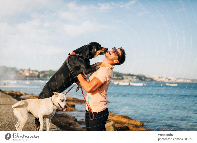 Fröhlicher Mann mit Sonnenbrille spielt mit Hunden am Strand gegen den Himmel Farbaufnahme Farbe Farbfoto Farbphoto Portugal Freizeitbeschäftigung Muße Zeit