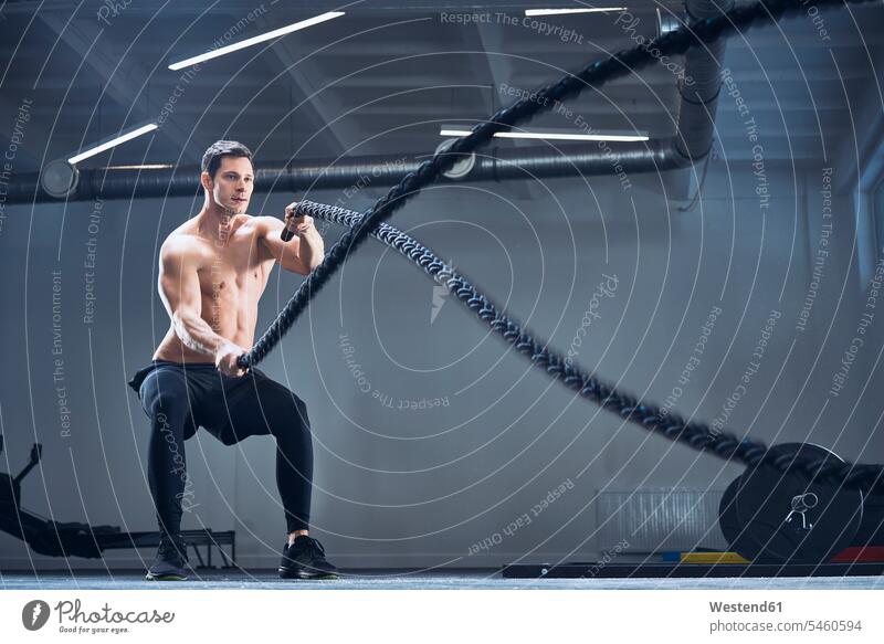 Athletischer Mann trainiert mit Kampfseilen in der Turnhalle Übung Uebung Übungen Uebungen sportlich Männer männlich Seil Seile Fitnessstudio Fitnessclubs
