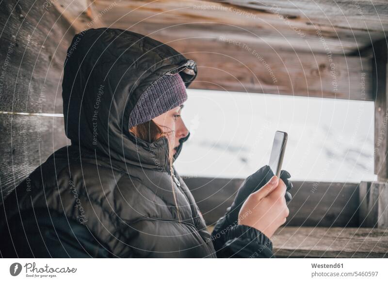 Österreich, Kitzbühel, junge Frau im Hochsitz, die im Winter auf ihr Handy schaut Hochsitze Hochstand weiblich Frauen schauen schauend anschauen betrachten
