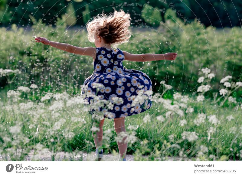 Kleines Mädchen spielt mit Samen von Pusteblumen in der Natur Kleider sommerlich Sommerzeit freuen gefühlvoll Emotionen Empfindung Empfindungen fühlen Gefühl