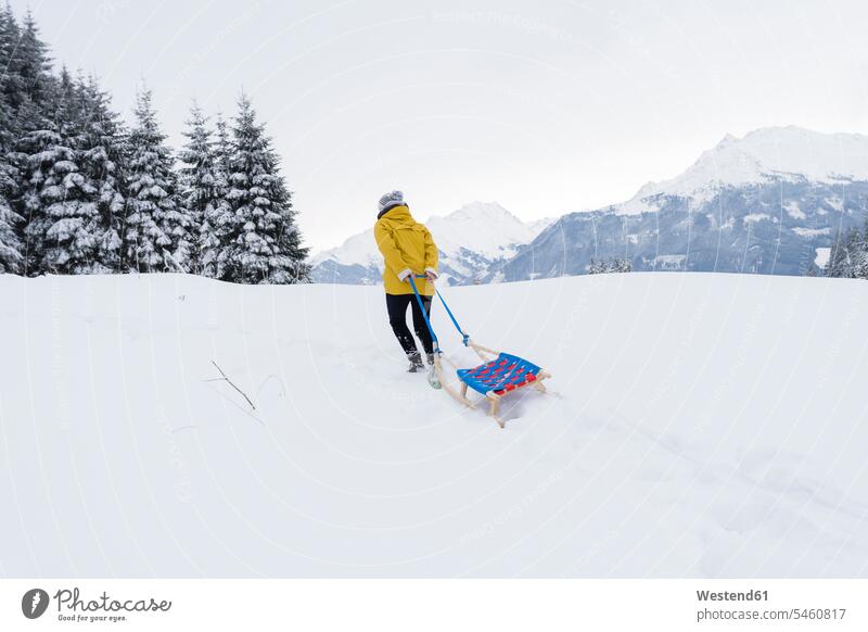 Österreich, Tirol, Thurn, Rückenansicht einer Schlitten ziehenden Frau in verschneiter Landschaft Rodelschlitten Landschaften schneebedeckt weiblich Frauen