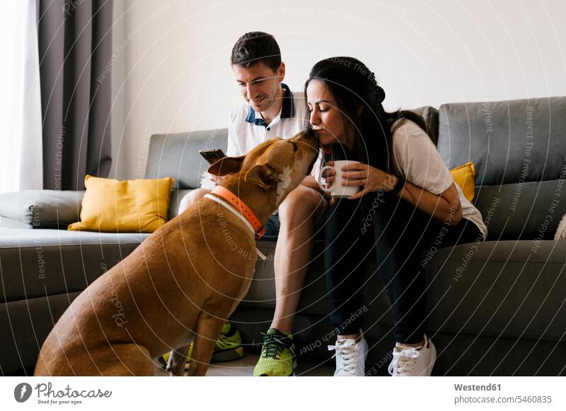 Frau küsst Haushund, während sie zu Hause auf dem Sofa sitzt Farbaufnahme Farbe Farbfoto Farbphoto Innenaufnahme Innenaufnahmen innen drinnen Tag