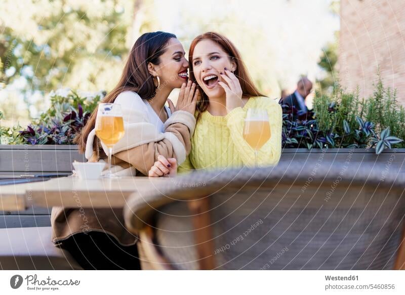 Zwei Freundinnen flüstern im Freien in einem Café Freunde Kameradschaft Gläser Trinkglas Trinkgläser Biergläser Tische hoeren sitzend sitzt reden entspannen