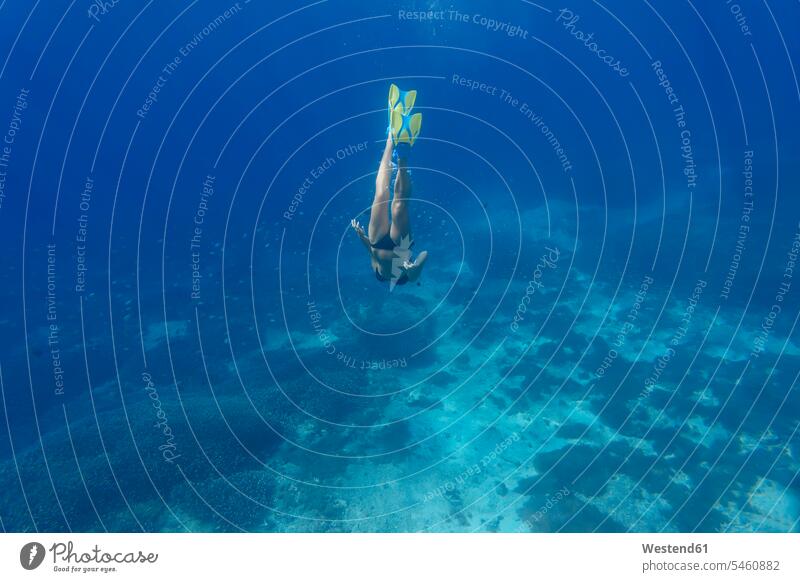 Frau mit Flossen und Schnorcheltauchen unter Wasser Taucherflossen Tauchflossen Unterwasser Unterwasseraufnahme Unterwasserfoto weiblich Frauen Erwachsener