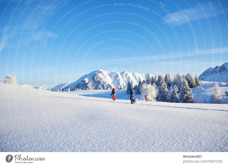 Österreich, Tirol, Paar Schneeschuhwandern Schneeschuh-Laufen Schneeschuh laufen Schneeschuhlaufen gehen gehend geht Winter winterlich Winterzeit aktiv Freizeit