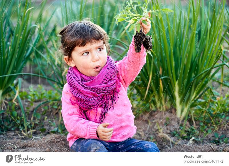 Porträt von Kleinkind Mädchen im Garten Blick auf kleine Tomatenpflanze in der Hand Schal Schals nachhaltiger Lebensstil Achtsamkeit bewusst Bewusstheit achtsam