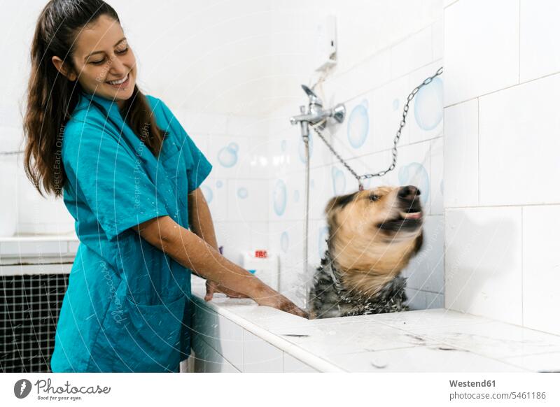 Lächelnder junger Hundepfleger beim Baden des Deutschen Schäferhundes im Waschbecken des Haustiersalons Farbaufnahme Farbe Farbfoto Farbphoto Spanien