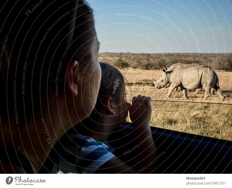 Mutter und Tochter bewundern Nashörner durch das Autofenster, Mpumalanga, Südafrika Nationalpark Nationalparks Safaritiere Safari-Tiere Fahrzeuginnenraum