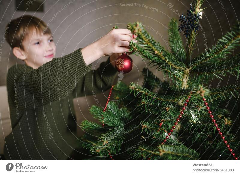 Junge beim Schmücken des Weihnachtsbaums Leute Menschen People Person Personen Europäisch Kaukasier kaukasisch 1 Ein ein Mensch eine nur eine Person single Kids