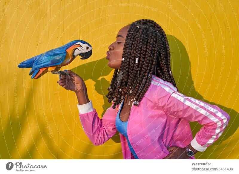 Frau küsst einen hölzernen Papagei auf einer gelben Wand Leute Menschen People Person Personen Afrikanisch Afrikanische Abstammung dunkelhäutig Farbige Farbiger