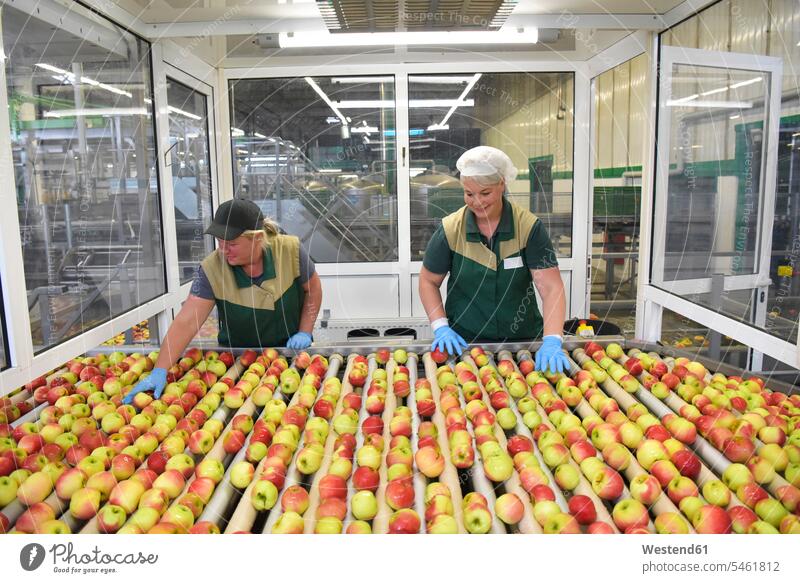 Arbeiterinnen kontrollieren Äpfel auf einem Förderband in einer Apfelsaftfabrik Job Berufe Berufstätigkeit Beschäftigung Jobs Arbeitsstätte Arbeitstelle