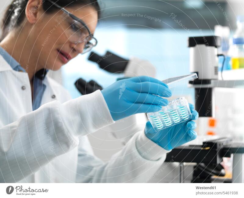 Biotech-Forschung, Wissenschaftlerin betrachtet Proben in Multi-Well-Platte bereit für die Analyse während eines Experiments im Labor flüssig Flüssigkeiten