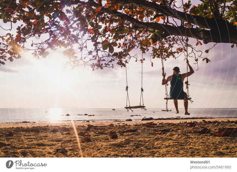 Thailand, Phi Phi-Inseln, Ko Phi Phi Phi, Mann auf Baumschaukel am Strand bei Sonnenuntergang Männer männlich Schaukel Schaukeln Beach Straende Strände Beaches