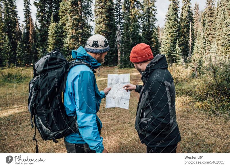 Kanada, Britisch-Kolumbien, Yoho-Nationalpark, zwei Wanderer beim Kartenlesen am Mount Burgess Freunde wandern Wanderung Mann Männer männlich Freundschaft
