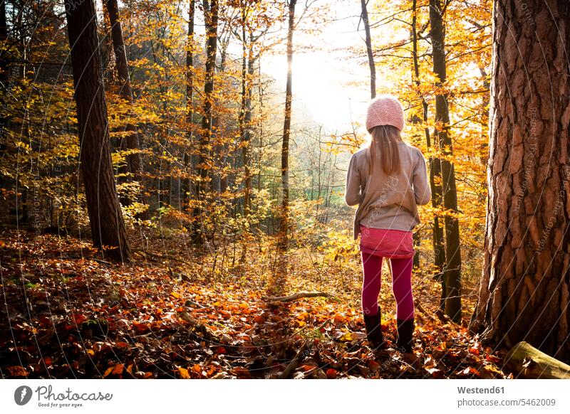 Junges Mädchen steht allein im Herbstwald, Rückansicht Naturerlebnis alleinsein Pause Pause machen alleine nachdenklich Baum Bäume Baeume einsam zurueckgezogen