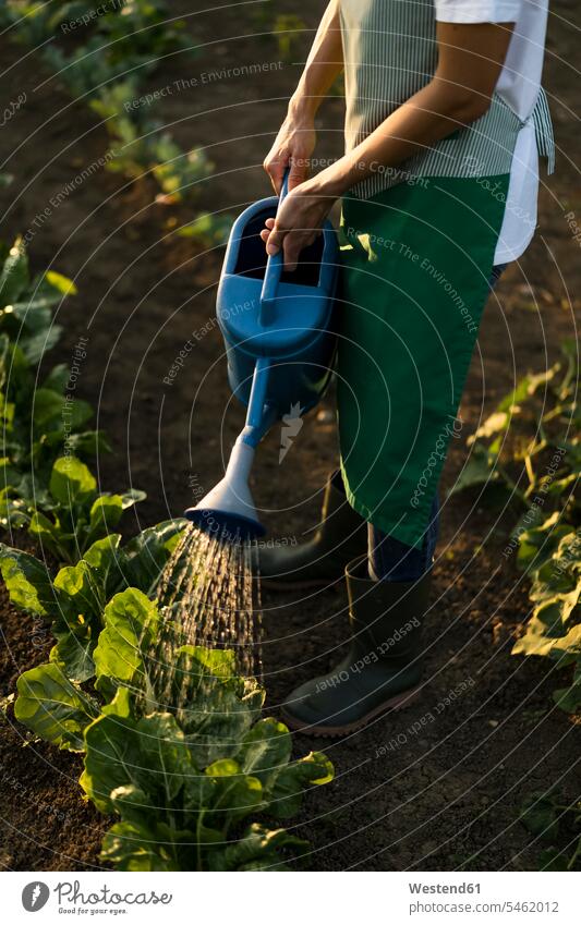 Frau gießt Platanen im Garten Gartenarbeit Gartenbau Muße Felder außen draußen im Freien am Tag Tagesaufnahme Tagesaufnahmen Tageslicht Tageslichtaufnahme