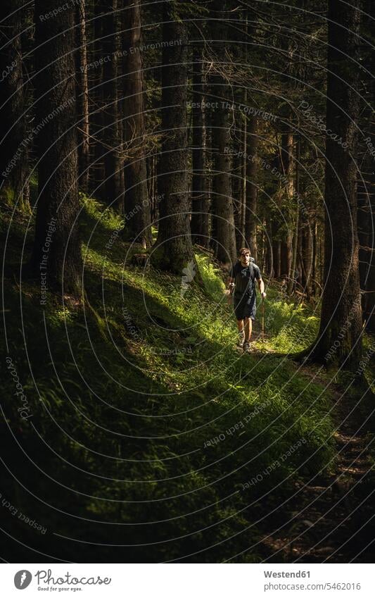 Mann mit Wanderstöcken auf einer Wanderung im Wald, Karwendel, Tirol, Österreich Jahreszeiten sommerlich Sommerzeit erforschen Erforschung erkunden Erkundung